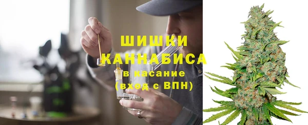 трава Бородино