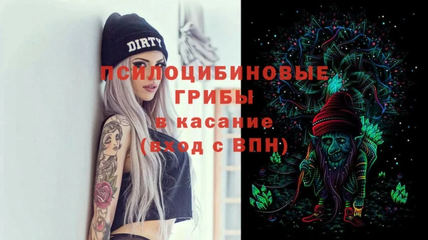 ешки Верхний Тагил