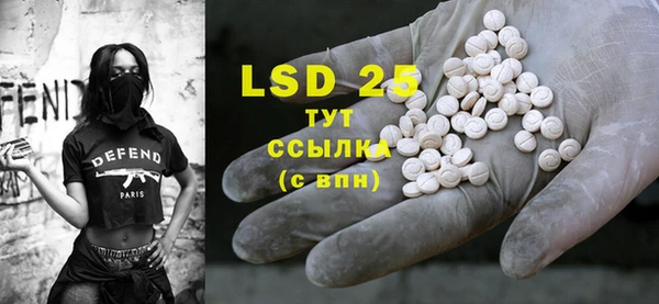 PSILOCYBIN Няндома